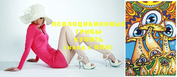 альфа пвп Весьегонск