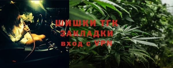 mdpv Горно-Алтайск