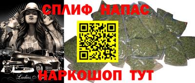 mdpv Можга