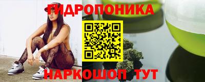 mdpv Можга