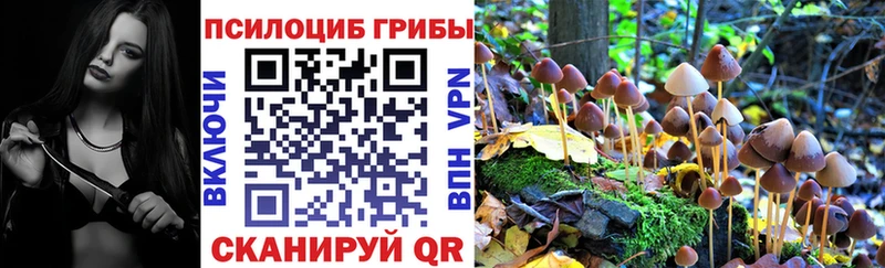 Псилоцибиновые грибы мухоморы  Гусь-Хрустальный 