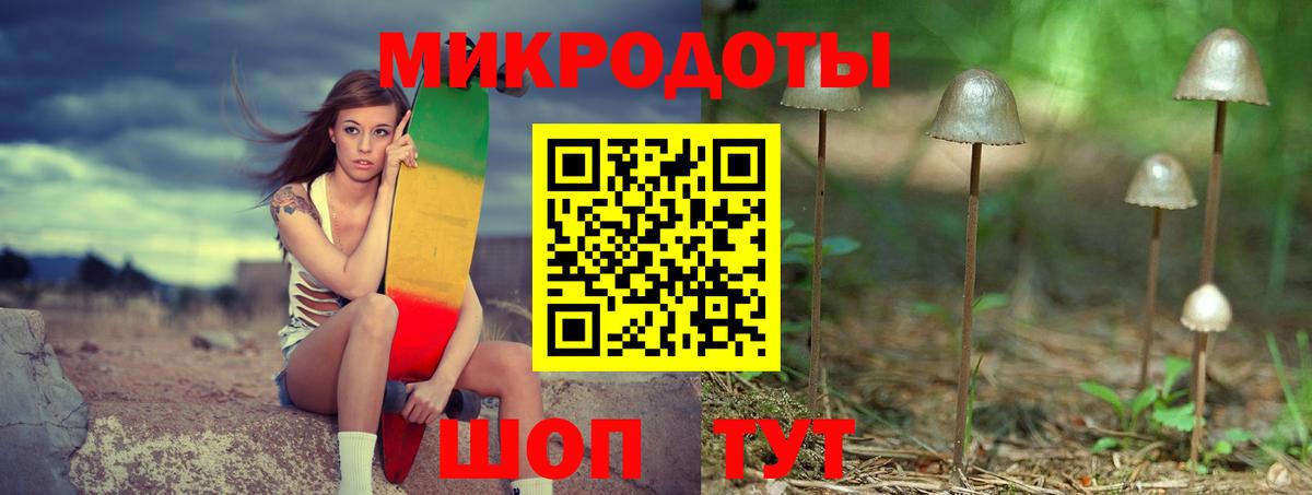 Галлюциногенные грибы Psilocybe  Вход с VPN  Гусь-Хрустальный  Псилоцибиновые грибы прущие грибы 