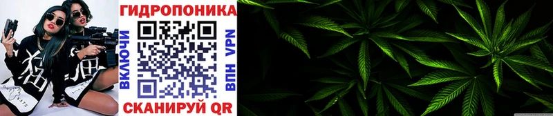 Канабис VHQ  Гусь-Хрустальный 